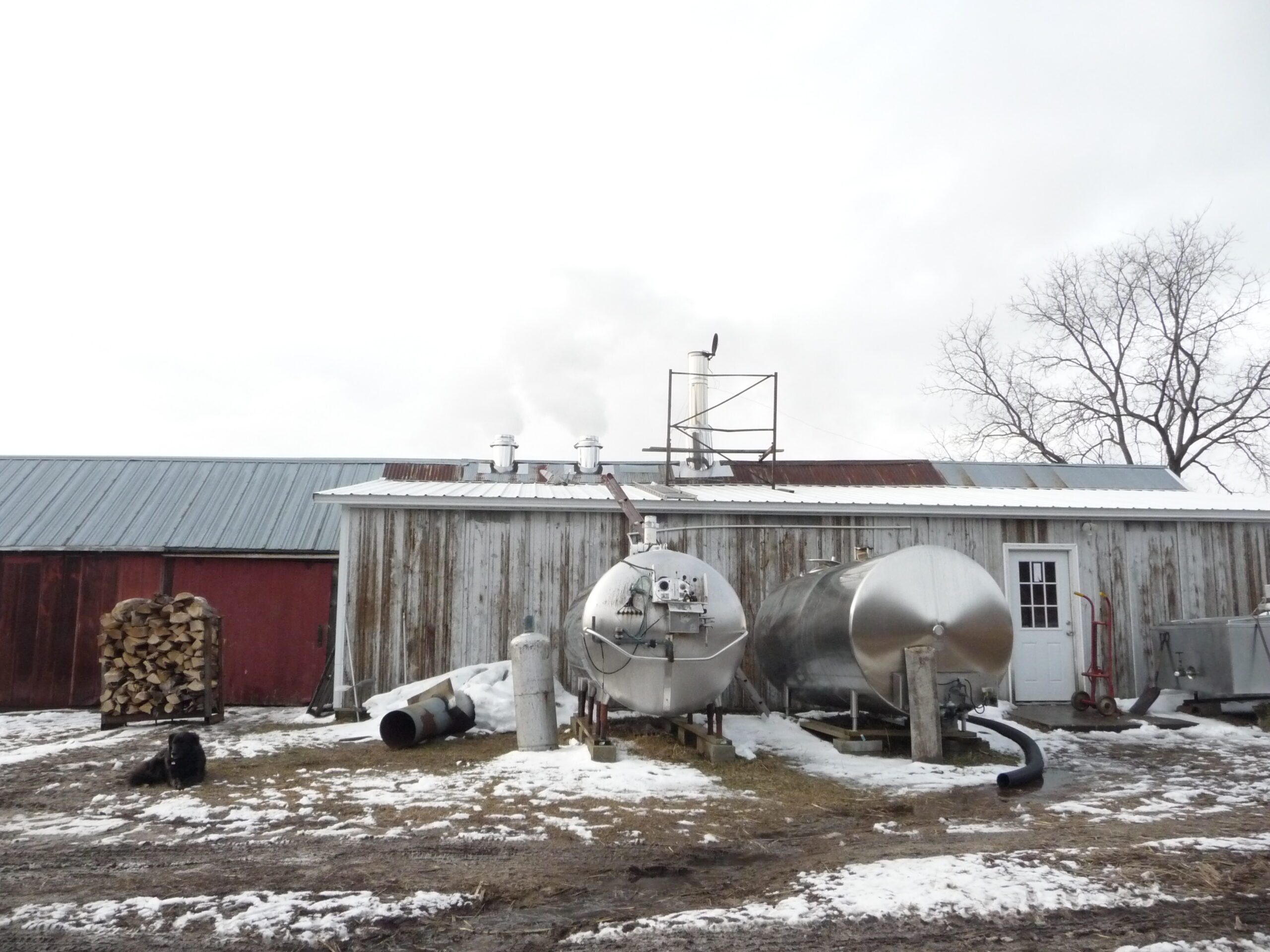 Sap storage tanks